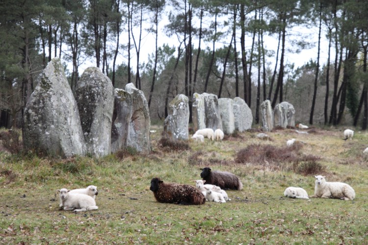 carnac