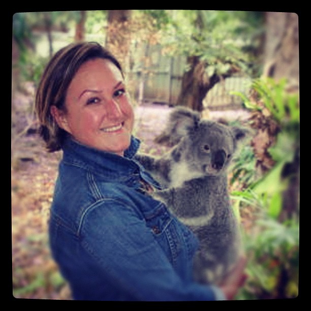 Koala